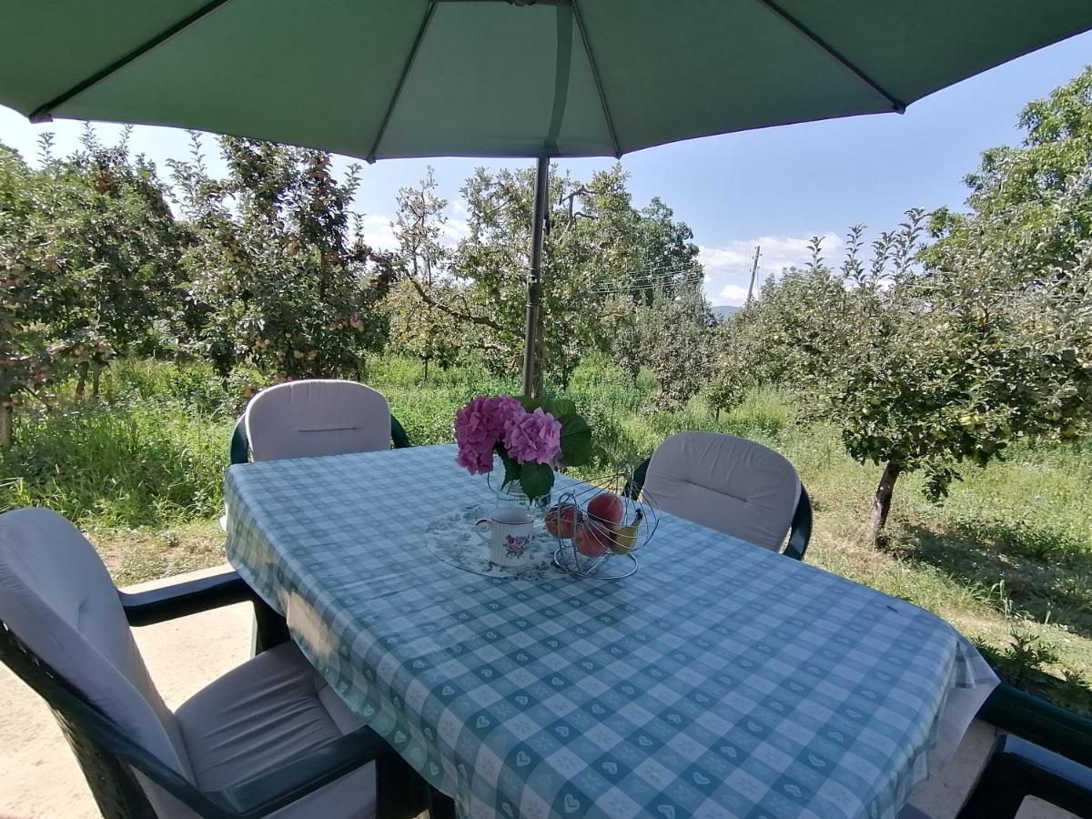 Villa Lila Dolno Dupeni ภายนอก รูปภาพ